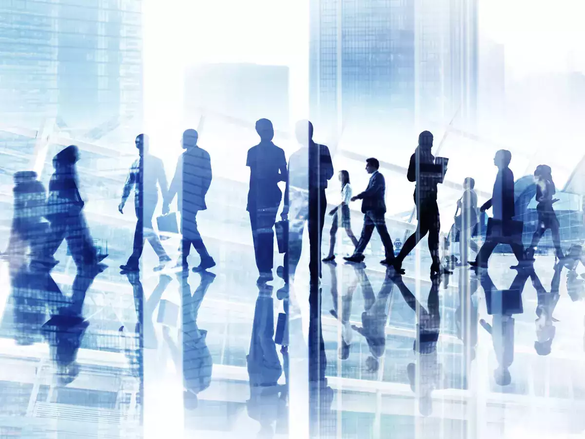 About Company